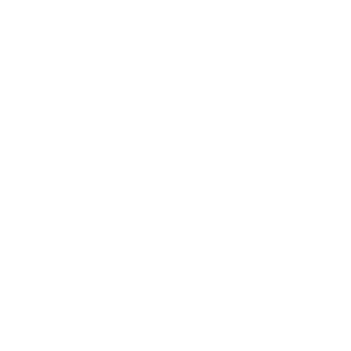 NetSuite
